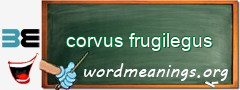 WordMeaning blackboard for corvus frugilegus